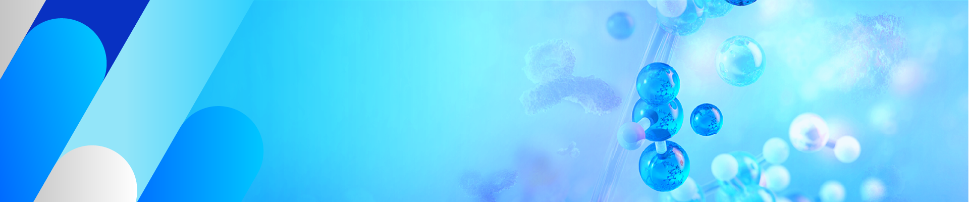 蛋白和抗体纯化