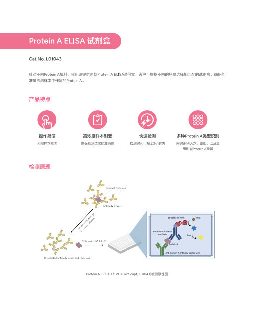 Protein A ELISA 试剂盒