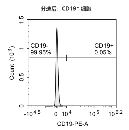 （C）分选后CD19- 细胞比例