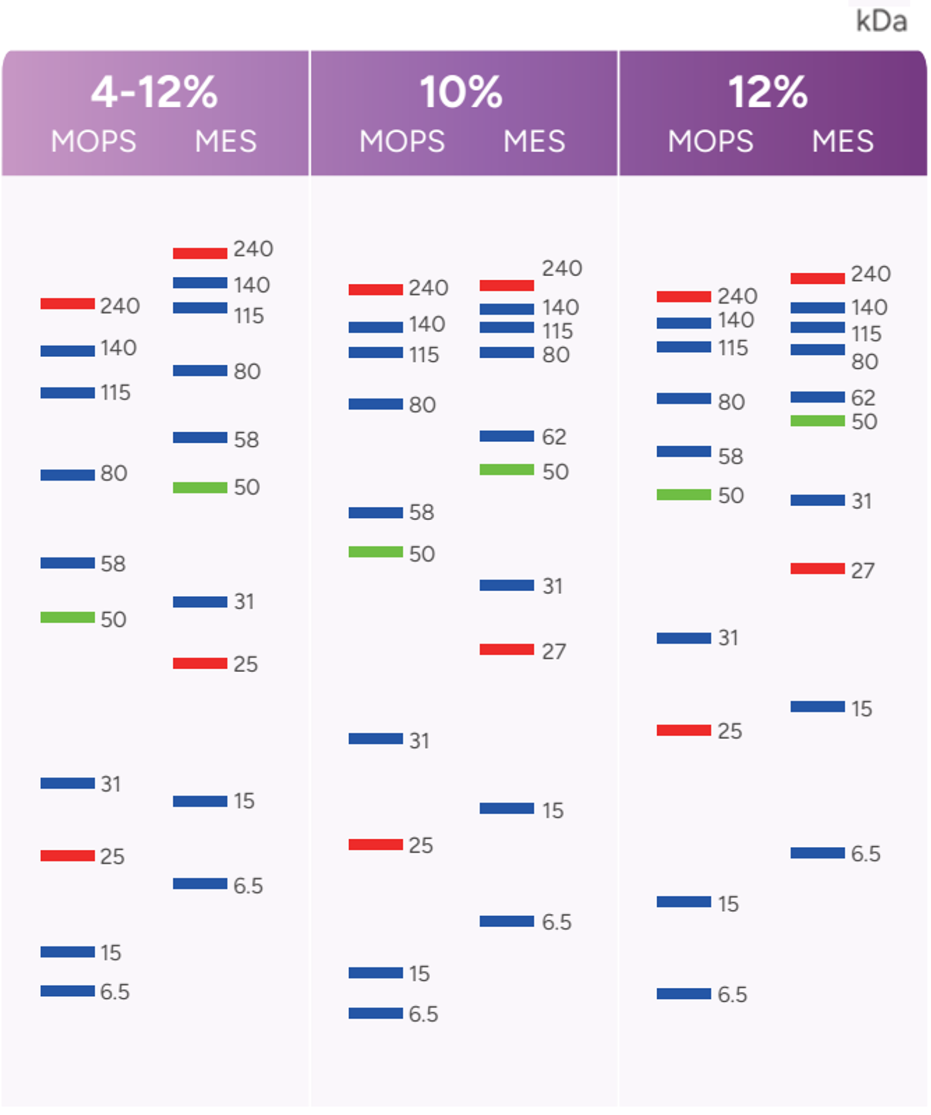 凝胶浓度和迁移指导