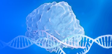 基因编辑技术革新：CRISPR与tBE多元化工具的开发与转化 - 黄金城集团