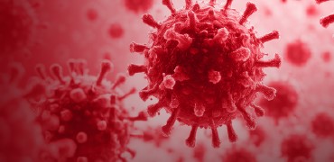 CGT药物中慢病毒研究进展及加速策略【黄金城集团在线课堂】