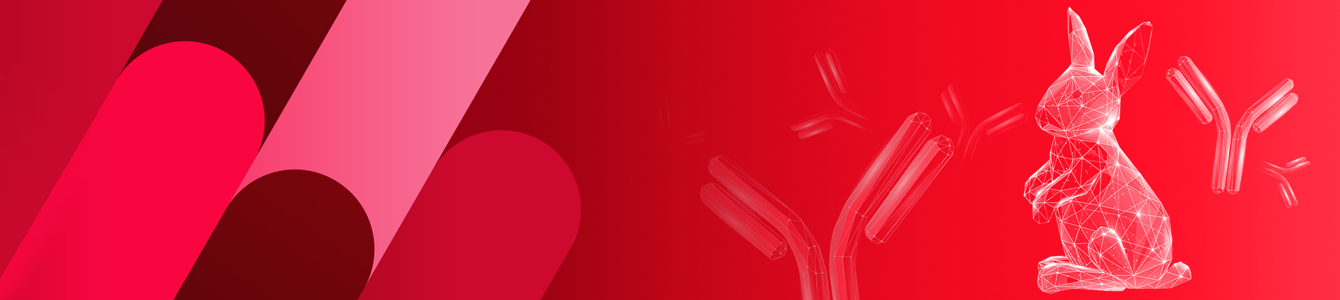 兔单克隆抗体开发服务