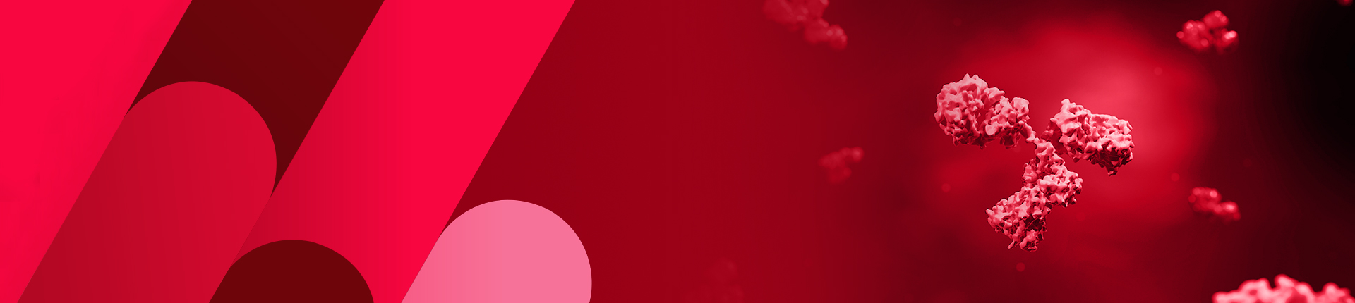 定制化单抗服务