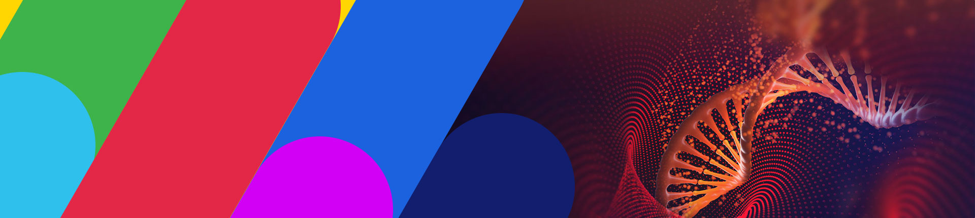 基因治疗解决方案