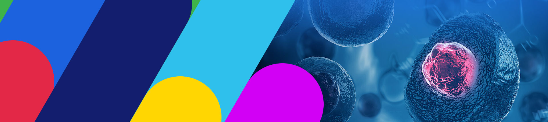 细胞治疗解决方案