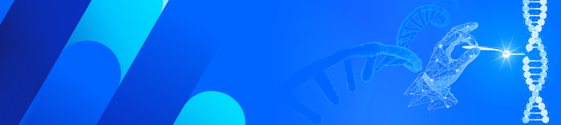 GenExact™ ssDNA (长单链DNA)合成服务