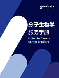 分子生物学手册