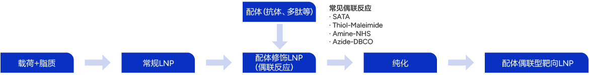 配体偶联型靶向LNP生产流程 