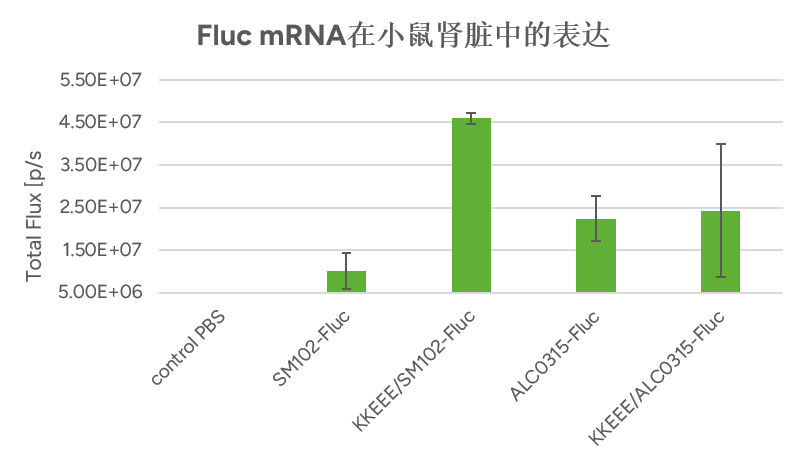 Fluc mRNA在小鼠肾脏中的表达
                                