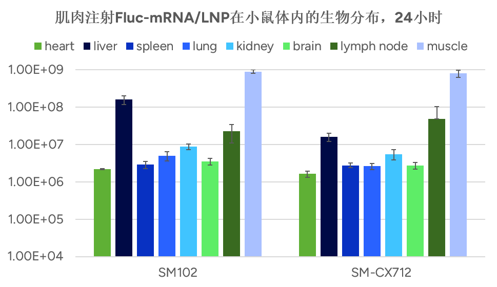 肌肉注射Fluc-mRNA/LNP在小鼠体内的生物分布，24小时  