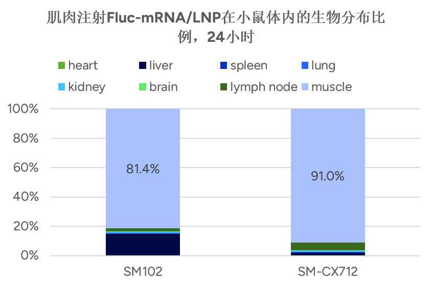 肌肉注射Fluc-mRNA/LNP在小鼠体内的生物分布比例，24小时 
