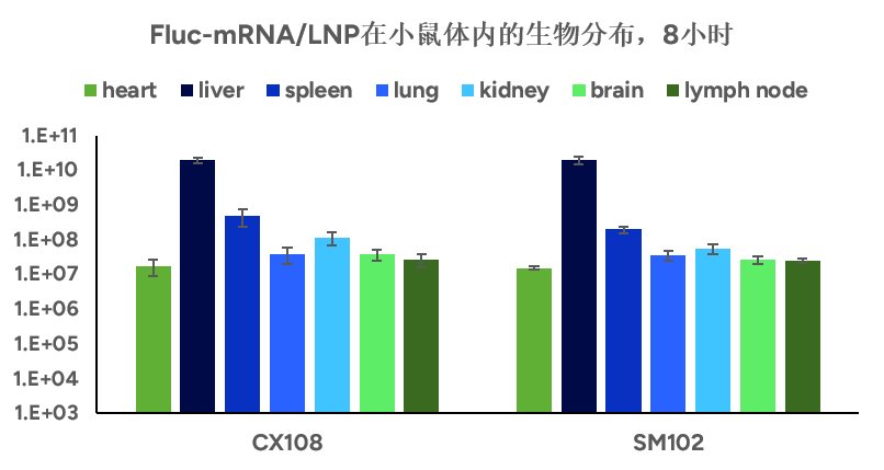 Fluc-mRNA/LNP在小鼠体内的生物分布，8小时 