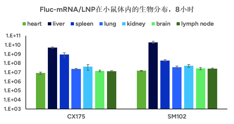 Fluc-mRNA/LNP在小鼠体内的生物分布，8小时 