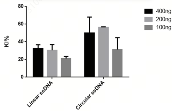 Dual-LNP Delivery System for Highly Efficient Cas9 mRNA-Based Gene Knock-In at the RAB11 Locus