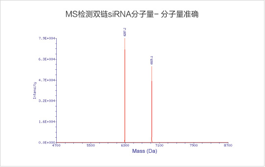 黄金城集团siRNA分子量精准