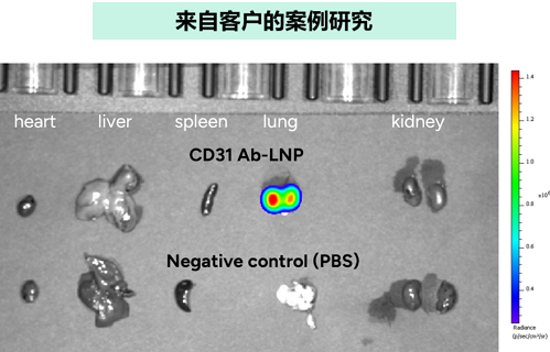 Case Study from Customer
                                